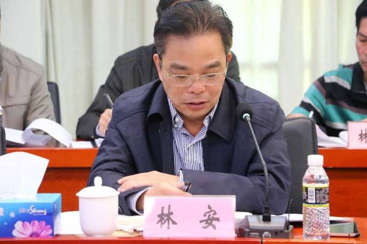 (县委副书记,县长林安参加会议)